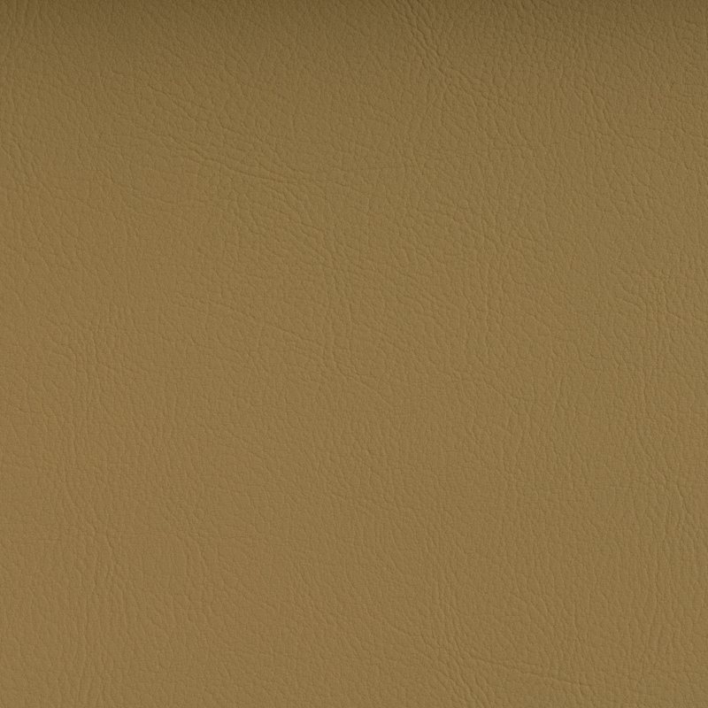 TSVA-1001 champagne